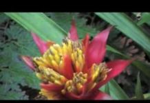 Mogwai – Autorock (2006) Mogwai – Autorock (2006)