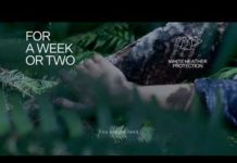 Fleet Foxes – For A Week Or Two (2020)