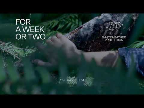 Fleet Foxes – For A Week Or Two (2020)
