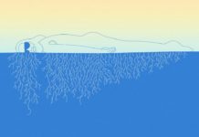 Sébastien Tellier – Stuck in a Summer Love (2020)