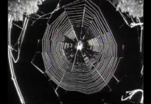 The Young Gods – Skinflowers (1992)