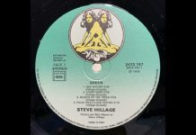 Steve Hillage – Palm Trees (love guitar) (1978)